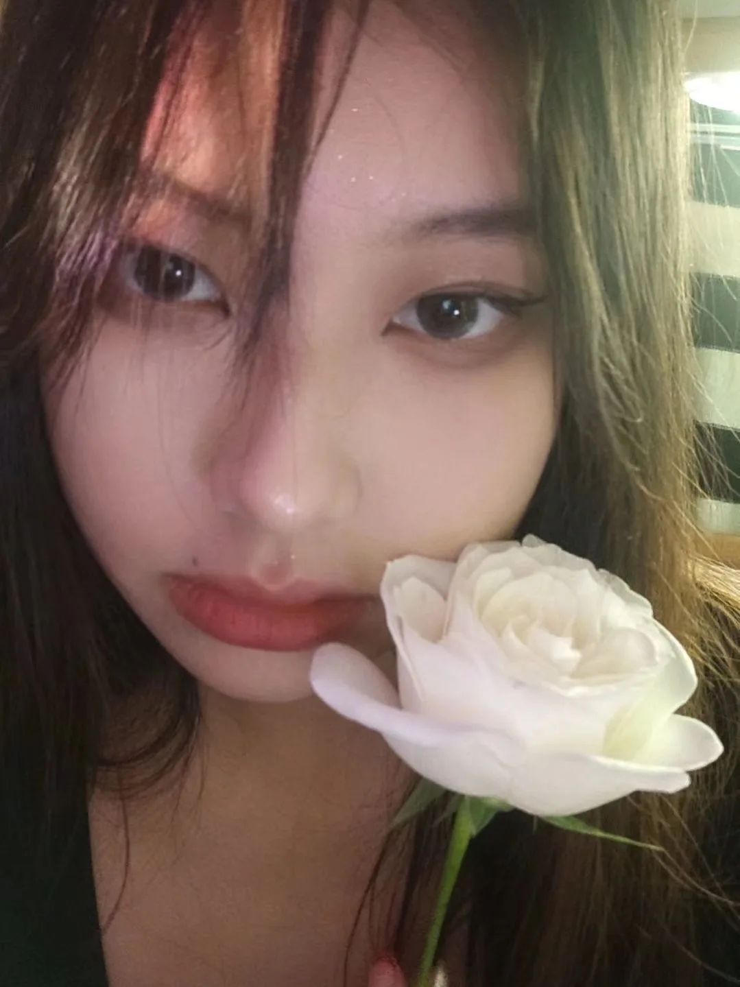 照片