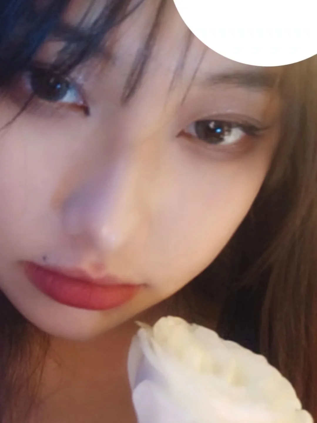 照片